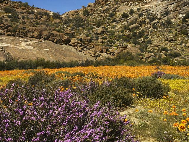 Goegap Nature Reserve